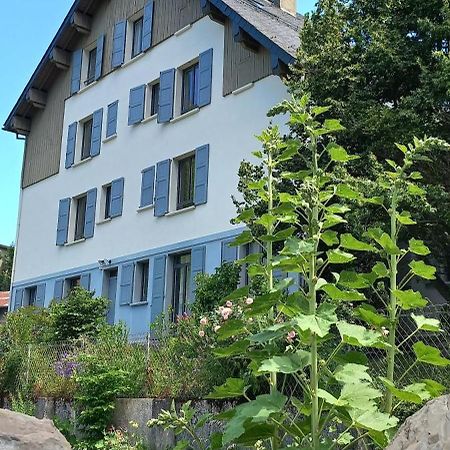 Chalet Du Doumet - Appart Luz Centre - Parking Et Garage Individuel Ferme - Draps Et Serviettes Inclus Luz-Saint-Sauveur Kültér fotó